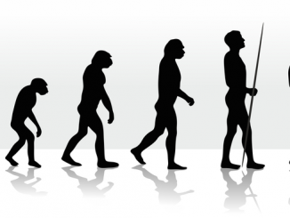 Evolution: Survival of the Friendliest