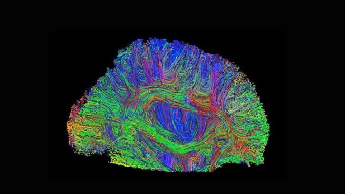 5D Method Can Be Used To Detect the Disease by Using Cell Phone Images